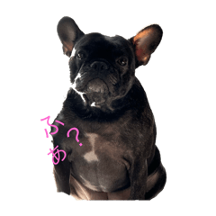 MM_20250128222301