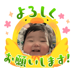 yun_20250128223518