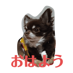 kana_20250128224638