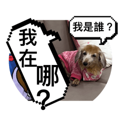 Coco 之