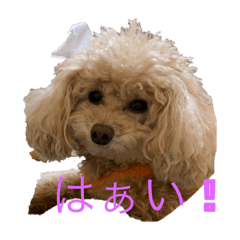 sally_20250129125005