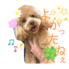 Hanabi_Stanp