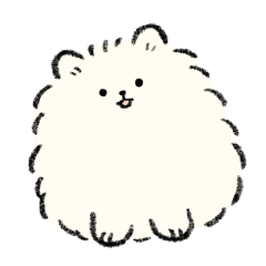 fluffy Pomeranians