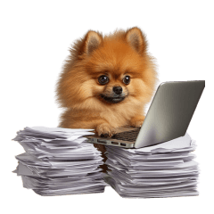 workaholic pomeranian