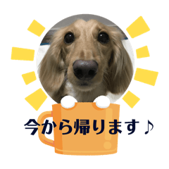 choco_20250129135025