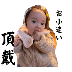 to-to_20250129015509