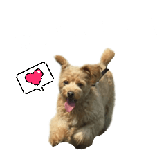 misaki_20250129140328