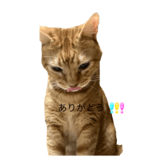 mii_20250129143320