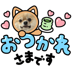 nico_20250129150756