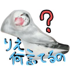 GON_20250129095703