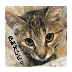 Rei_20250129130326