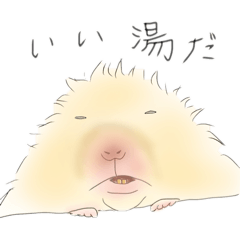 hemhemjp_20250128222756