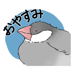 kk_20250129134504