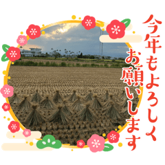四季樂Four seasons happiness