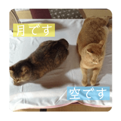 Hana_20250128205623