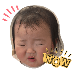 moe_20250129153841