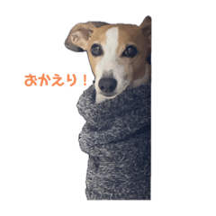 TAKA_20250129162342