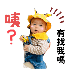 呆呆葵花子