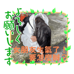 Cheng3
