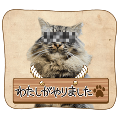yukipomu_20250129160137