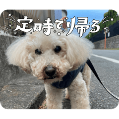 moe_20250129183807