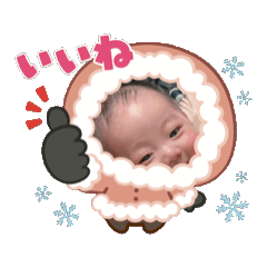 yuccha_20250129145714