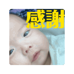 shio_20250130010505