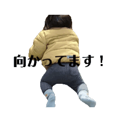 yuki_20250130001316