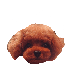 emi_20250129172438