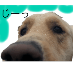 ACE_20250129172954