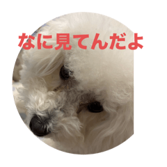 mochi_20250129184634