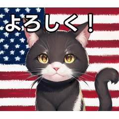 cat that loves america