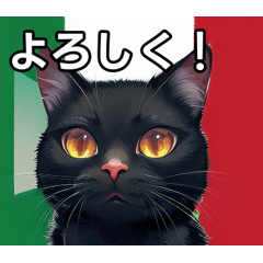 cat that loves italy