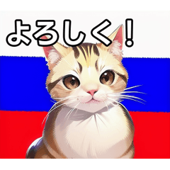 cat that loves russia