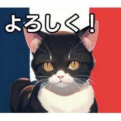 A cat who loves France