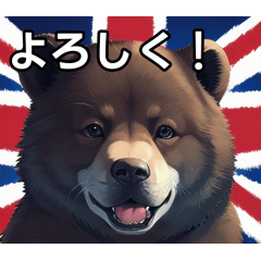 A bear who loves England