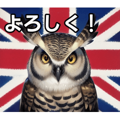 owl that loves england