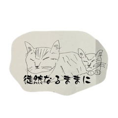 ma_20250129200843