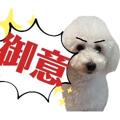 シャルルくん③