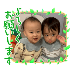 Misa_20250129202455