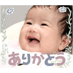 sho_20250129202429
