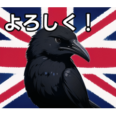 Crows who love England