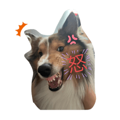 Miayu20250129185446