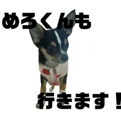 memetarou_20250129214143