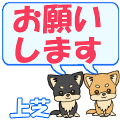 Kamishiba's letters Chihuahua2