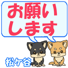Matsugaya's letters Chihuahua2
