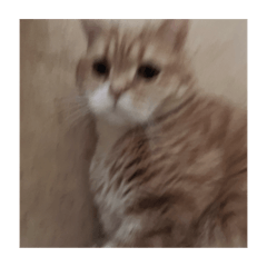 neko_20250129225300