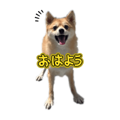 MUGI_20250129210023