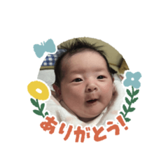 ponta_20250129235709