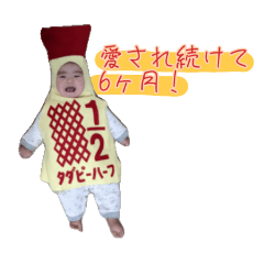 Emi_20250130001549